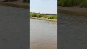 Пожар от Пелымского тумана вниз по реке Пелым