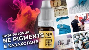 Мы расширили производство NE Pigments. Казахстан