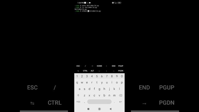 Python Hello World Program in Different Ways on Android Phone / Termux