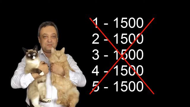 Как ускорить освоение языка, увеличивая объемы изучаемого материала. Совет от Вячеслава Григорьева смотреть онлайн