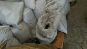 20. Хранение фуражного зерна .