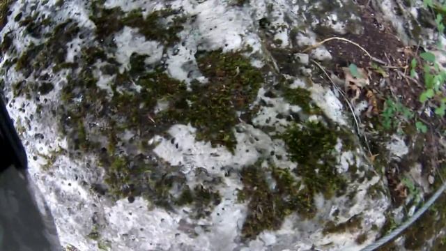 Троллей Мишоко смотреть онлайн