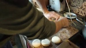 Просфоры для Литургии.