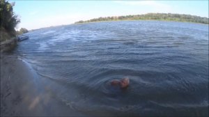 Ловля Раков река Дон - #51