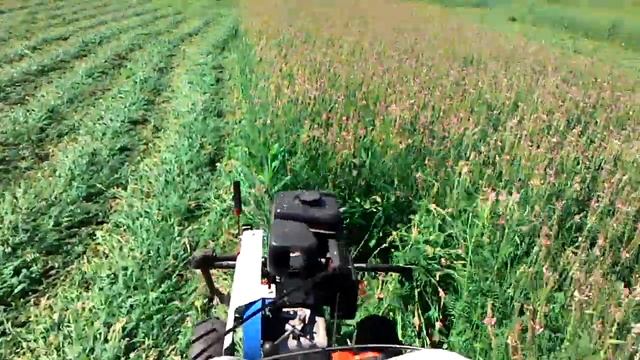 Мотоблок Нева МБ-2 с роторной косилкой Заря смотреть онлайн