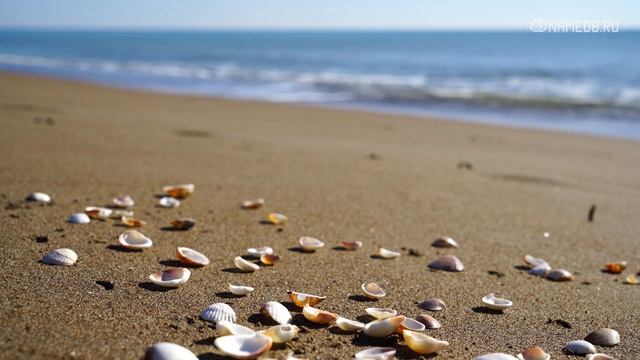 Овен-ребенок и его воспитание смотреть онлайн