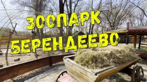 ЗООПАРК ПЯТИГОРСКА / БЕРЕНДЕЕВО / куда пойти с детьми?