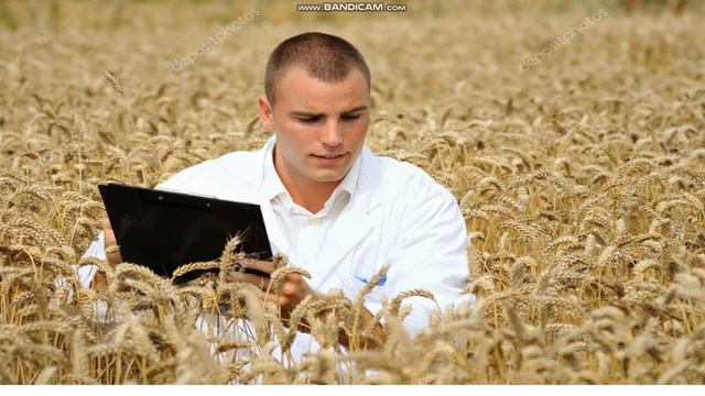 3 класс Родиноведение . Тема урока: Человек и растения смотреть онлайн