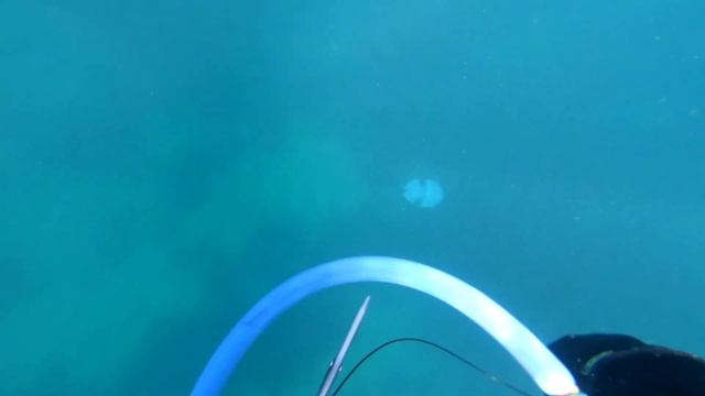 Неглубокая подводная охота в Черном море. смотреть онлайн