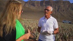 Алое вера из передачи Жанны Бадоевой « Канарские острова. Жизнь других»