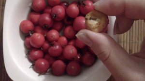 Ягода Боярышник