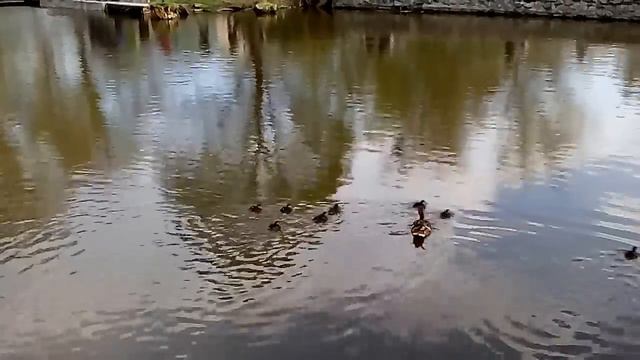 VLOG: Поход в зоопарк / Часть 2 / We go to zoo / Part 2 смотреть онлайн