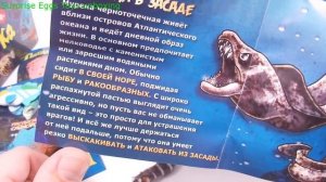 Пираньи & Ко ВСЯ КОЛЛЕКИЯ ИГРУШЕК распаковка видео обзор новинка 2018 Деагостини