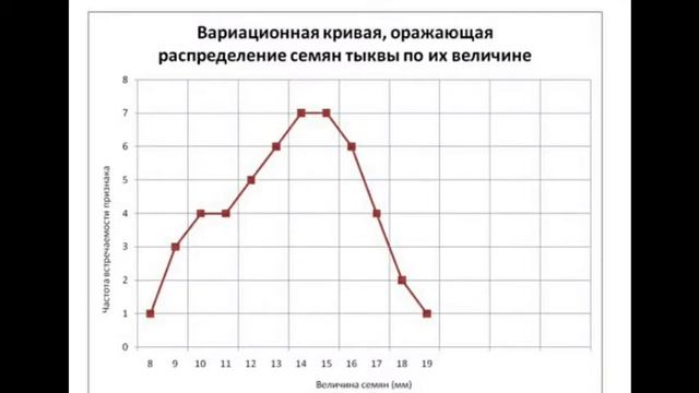Лабораторная работа по модификационной изменчивости