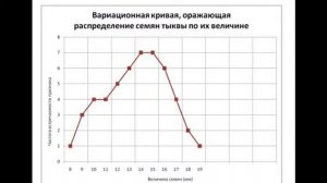 Лабораторная работа по модификационной изменчивости