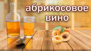 Рецепт абрикосового вина все стадии. Дегустация вина от канала свой среди своих кулинария