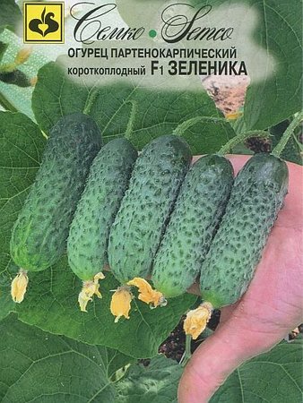 146. Зеленика - 1