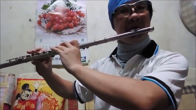 江蕙-無言花-長笛Flute練習06(cover-by 任閒騎miraclemaryboy)F調 смотреть онлайн