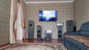 MeloDavid P-810plus 8 дюймов