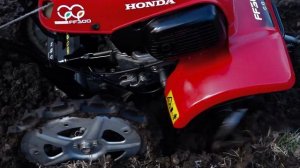 Honda FF 300 Rotary cultivator (Jordfräs)