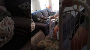 востановление после инсульта