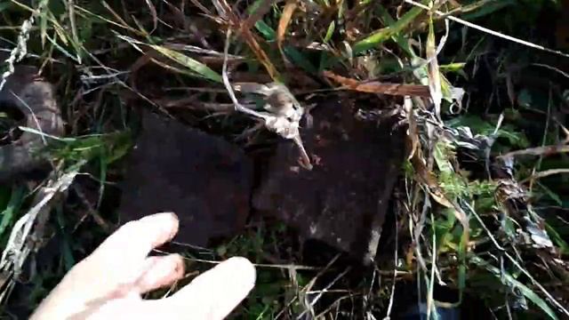 КОП МЕТАЛЛА.ТОРФЯНИКИ.ОБОССАНОЕ  ЖЕЛЕЗО. смотреть онлайн