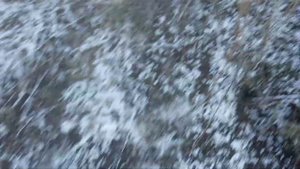 Установка Подъемных Петель на Куропатку Фазана и Зайца)