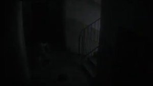 Странное существо в подъезде