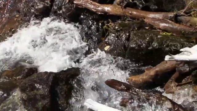 Ручей с водопадами смотреть онлайн