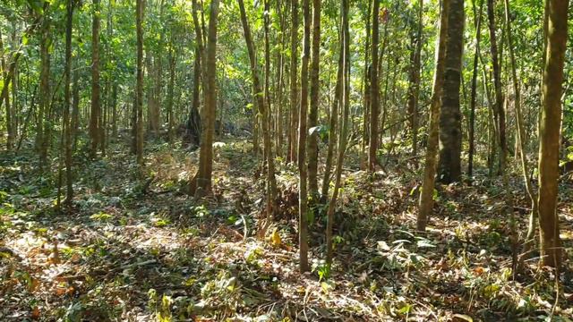много новостей из христианского поселения в Боливии. смотрите :) смотреть онлайн