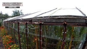 Как перекрыть крышу теплицы из металла поликарбoнатом