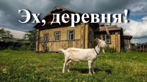 Эх деревня!