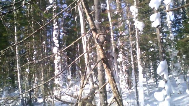 Инопланетянин 😁