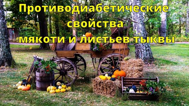ТЫКВА: невероятные лечебные свойства!? смотреть онлайн