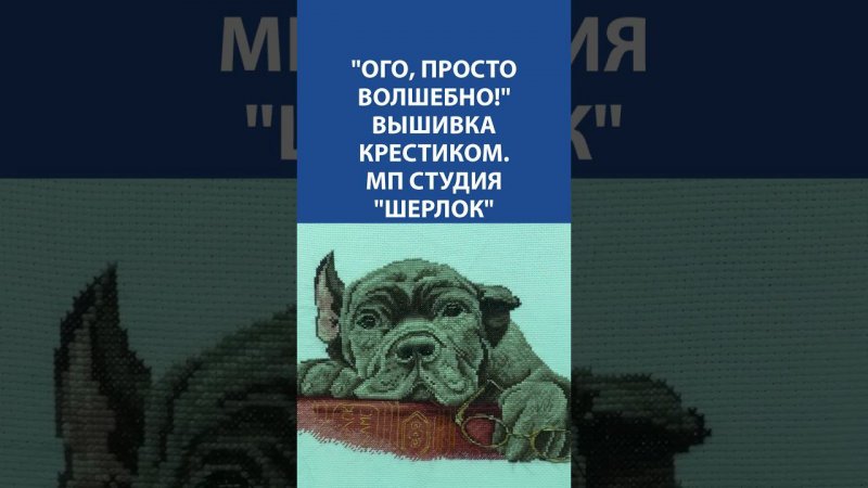 "Ого, просто волшебно!" Вышивка крестиком. МП Студия "Шерлок"