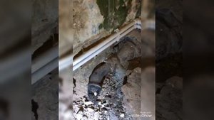 Металлопластик или полипропилен ????