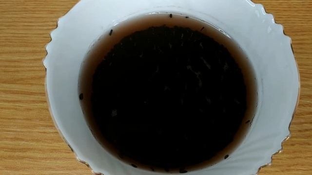 Проращивание чёрного кунжута