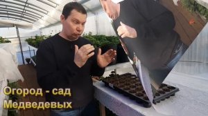 Самый эффективный вариант выращивания рассады лука Эксибишен