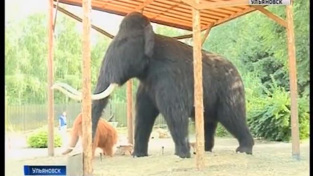 Австралийские страусы в Винновской роще