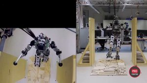 TESLA BOT