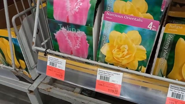 Поход в Ленту! Распродажа луковичных, комнатных, искусственных цветов! смотреть онлайн