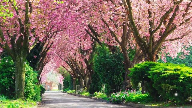 Музыка для релаксации! Очень красивая музыка, трогающая душу и сердце!красивая музыка С Чекалина смотреть онлайн