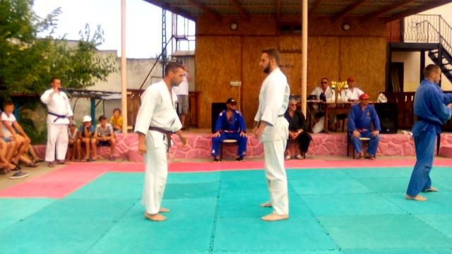 Летние сборы Бушинкан 2017 смотреть онлайн