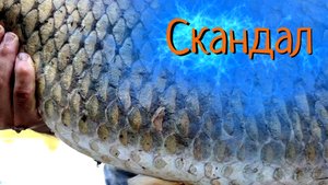 «Рыбалка Будущего» поразила ИНТЕРНЕТ !!!
