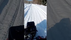 двигатель лифан 8 лс на мотособаку Нева