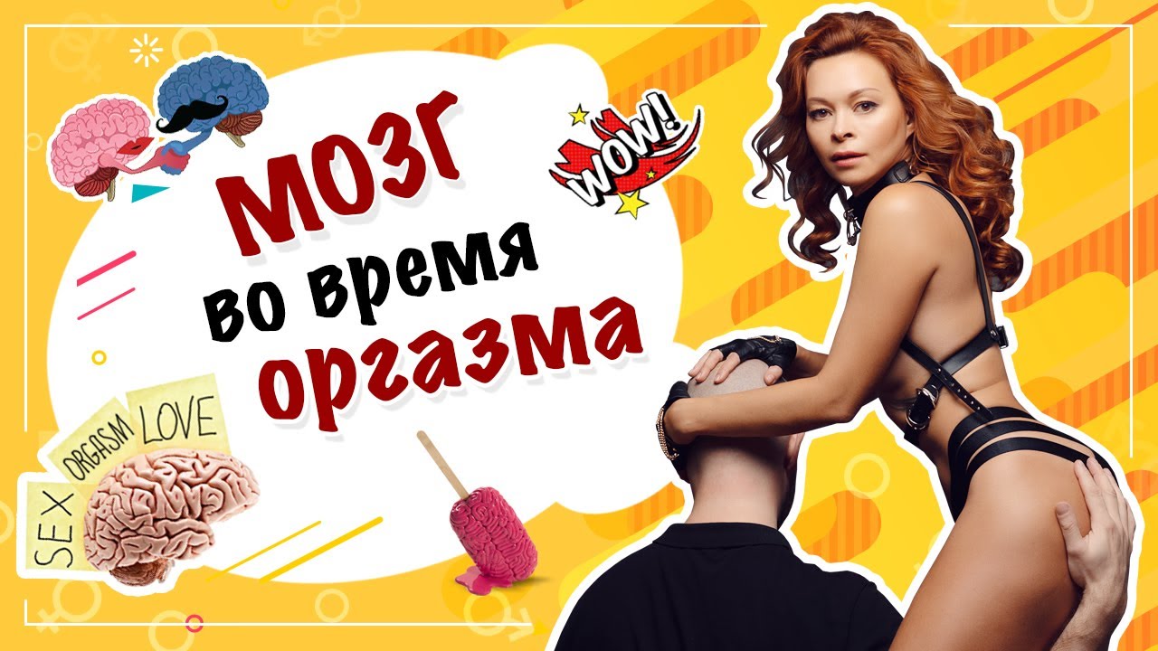 Сексуалды Аниса