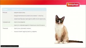 Астма у кошек