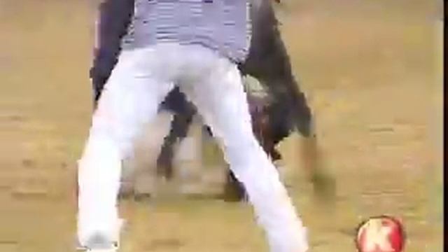 Пацану влетела от быка смотреть онлайн