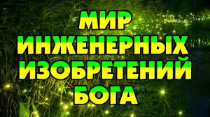 МИР ИНЖЕНЕРНЫХ ИЗОБРЕТЕНИЙ БОГА (часть 2)