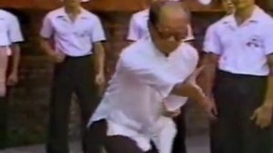 Baji Quan 